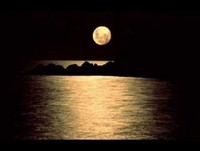 Antonio Carlos Paraná - Estado de Graça