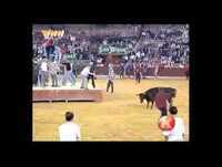 Como se despe 1 chinês e como se despe 1 espanhol