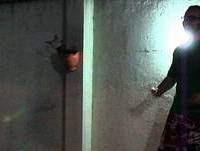 Anúncio LCP 2013 @PA