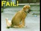 Epic Fail Dog VS Tram
