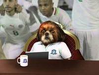 Argélia - Grupo H - Copa Aleixo