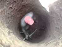 desgraca de buraco fedorento