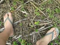 Detecção de Metais - A pior caçada até hoje!