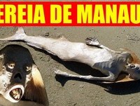 SEREIA DE MANAUS (real mermaid??)