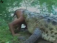 ATAQUE DE ANIMAIS SELVAGENS (CENAS FORTES)