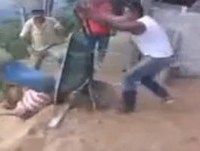 Best Fails August 2014 - #3 - Fail Compilation | Failsector