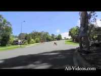Close Longboarding Wipeout