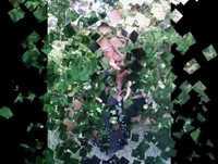 Cornelia Vid-Acum Bade ce mai vrei.wmv