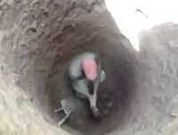 Desgra�a de buraco fedorento