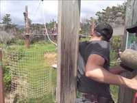 Okinawa Forest Adventure Park (Zip Line)