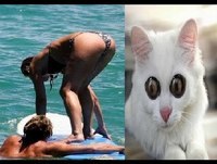 Videos engraçados - Melhores videos engraçados 2014 Video Cassetadas Videos mais engraçados 2014