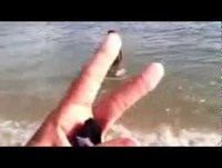 Videos engraçados para rir