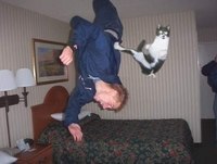 Funny Videos [HD] Best Funny Vines & Pranks Funny & Fails Funny Best Compilation 2014