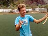 Ídolos cromos madeira