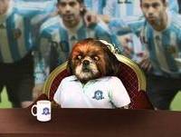 Argentina - Grupo F - Copa Aleixo