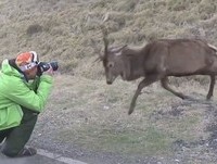 Best Fails of the Week 2 July 2013