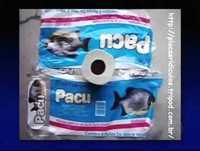 ERROS DE PORTUGUÊS PROGRAMA DO JÔ