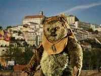 Os Conselhos Que Vos Deixo  - 2