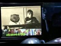 Robocop assiste Bruno Aleixo