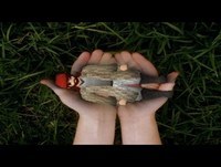 Wildy Owns1 is now in Safe Hands