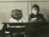 Aleixo Na Escola 06- As Janeiras