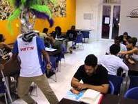 Harlem Shake Palm Cabo Verde