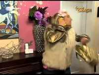 Yannick Djaló quer ir à Gala - Estado de GRAÇA