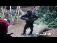 Best Fails of October 2013 | Part 1 (re-upload)