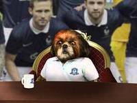 França - Grupo E - Copa Aleixo