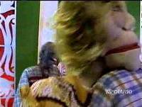 Nas Garras da Patrulha - Homem fedorento vai para uma festa