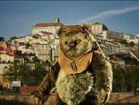 Os Conselhos Que Vos Deixo - 6