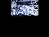 primeiro vidio do meu canal: o tal do bam