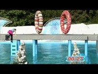 Winter Wipeout - Series 1 Episode 4