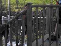 Zip line in Thunder Bay