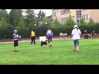 Zip tokon SM-finaali 2013