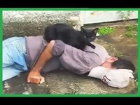 Gato dormindo encima do Bebado - Gatos Engraçados 2014