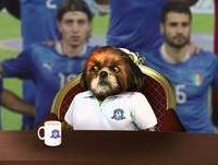 Itália - Grupo D - Copa Aleixo