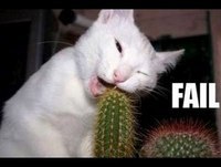 The Best Funny Animal Video on the internet - Wins & Fails