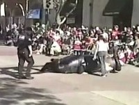 Ultimate Army Soldiers Fails Compilation April 2014 Best Funny Fails