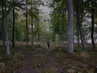 Ålltzen - Cornelia (Officiell Musikvideo)