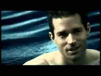 animais engraçados cada tombo