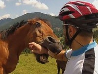 Best Fails of the Week 2 January 2013