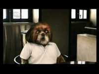 O Programa Do Aleixo 01 parte 2-3