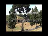 Pompei-TOO LATE-troppo tardi per le scuse!