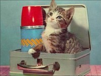 Raul Solnado - "Cantata para uma Velha Só" do disco "Zip-Zip" (LP 1969)