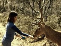 Casa Rural Los Galapagos en la tele