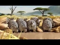 Desenho animado, muito engraçado, muito bom