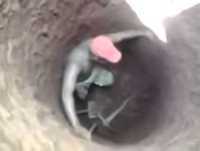 Desgraça de Buraco Fedorento