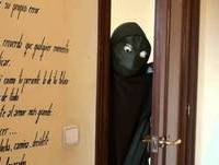 POR QUÉ DEJÉ YOUTUBE (o Mi vida con una tortuga)