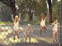 Bebês Dançarino 2013 Duvido não Rir Like